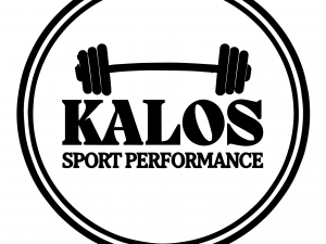 Programme  type Hyrox